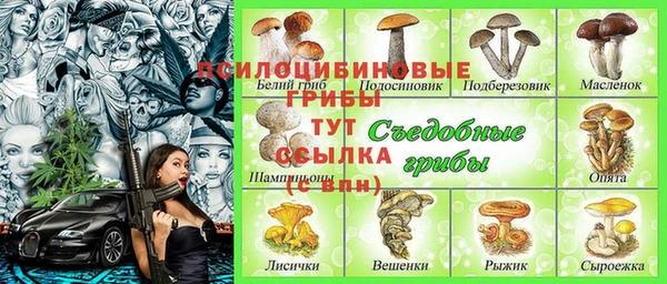бошки Абинск