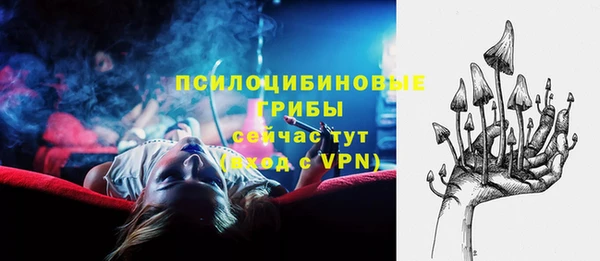 бошки Абинск