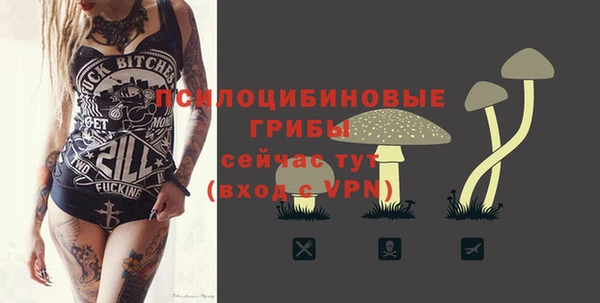 амф Абдулино