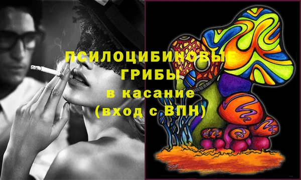 дмт Абаза