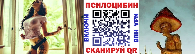 закладка  Тайга  Галлюциногенные грибы мухоморы 